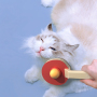 Manufacturer wholesale remove hair dog brush pingpong bat design