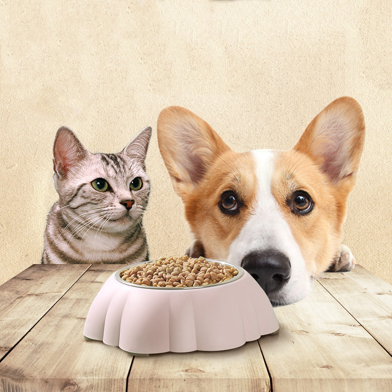Round Set Melamine Stainless Steel Dog Bowls