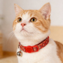 Manufacturer Wholesale Custom Logo Red Orange Adjustable Collars Cats