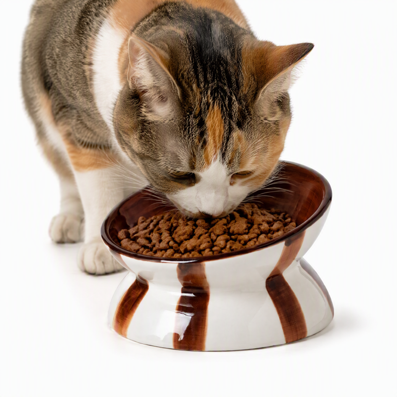 Wholesale Washable Ceramic Cat Bowl Elevated