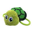 sea turtle