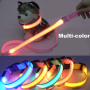 classic solid led nylon dog collar and leash set