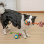 Manufacturer wholesale orange green blue chew dog tpr toys