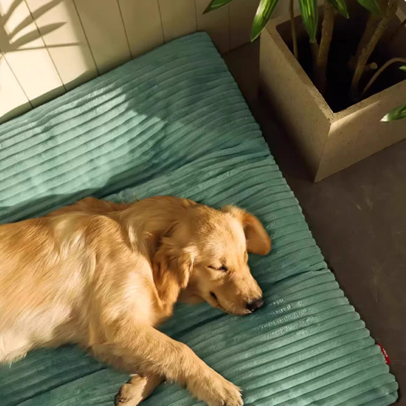 Wholesale Washable Detachable Large Dog Cushion