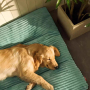Wholesale Washable Detachable Large Dog Cushion