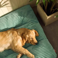 Wholesale Washable Detachable Large Dog Cushion