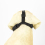Wholesale Multi-size Black Adjustable Breathable Dog Muzzle
