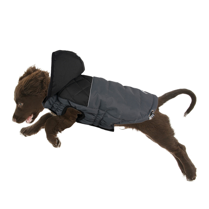 Manufacturer wholesale custom logo pet accessories dog clothes with hat