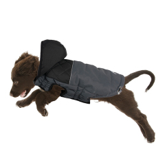 Manufacturer wholesale custom logo pet accessories dog clothes with hat