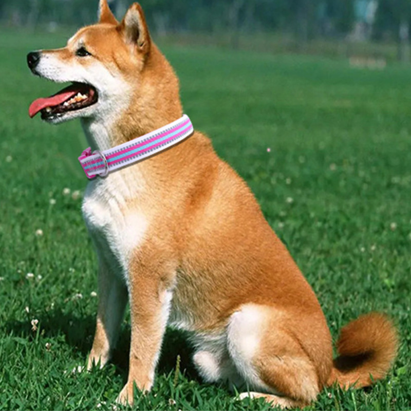 Manufacturer wholesale custom logo adjustable dog collar reflective