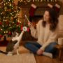 Wholesale Christmas Design Teaser Stick Cat Interactive Toys