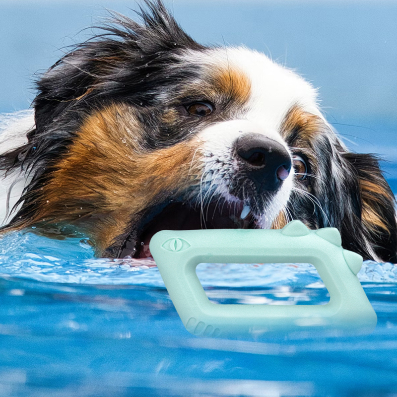 Manufacturer Wholesale Pet Product Chew Tpr Dog Floating Toys