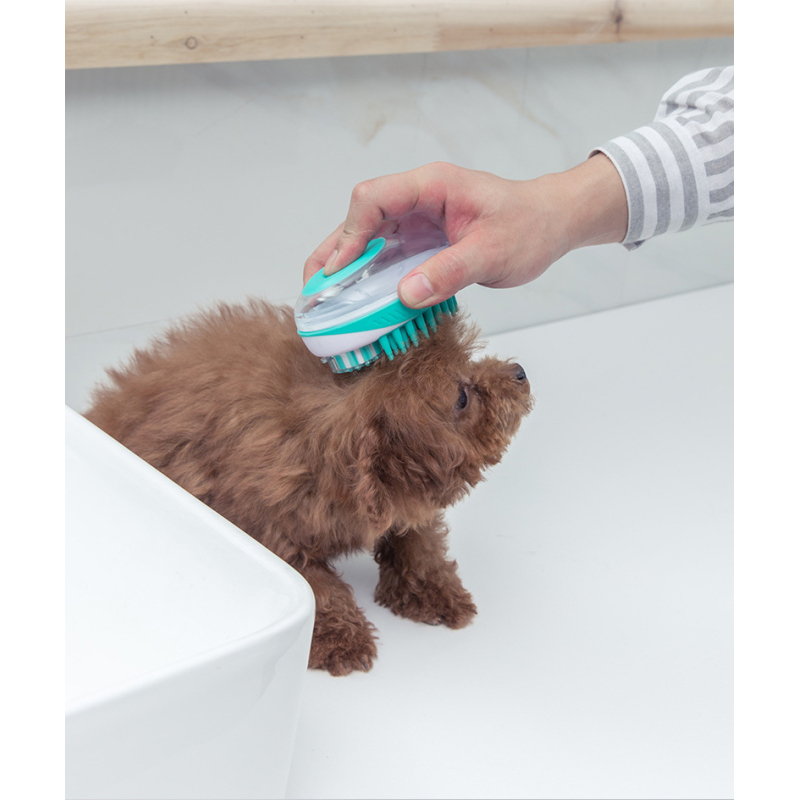 Manufacturer wholesale blue green grooming tool pet cat dog bath brush
