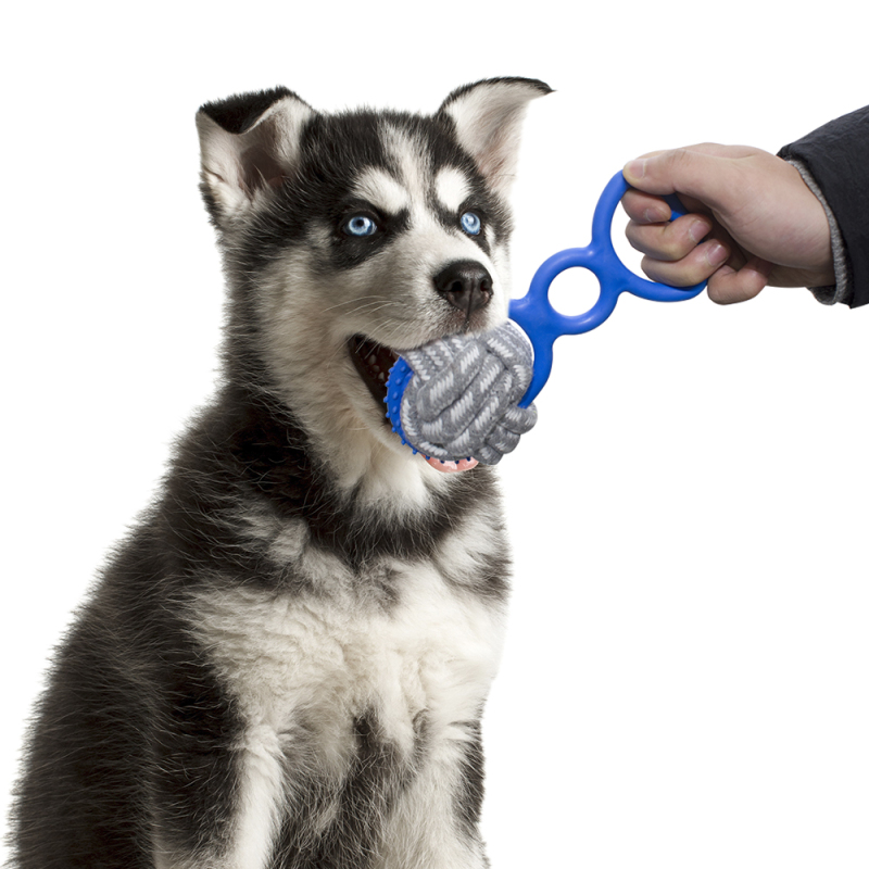 wholesale manufacturer free samples indestructible chew cotton rope  tpr dog toy set