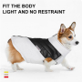 Manufacturer Wholesale Waterproof pp Cotton Warm Winter Dog Coat