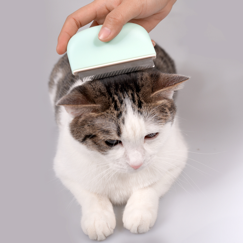 Manufacturer wholesale grooming tool cat comb pink green white