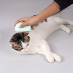 Manufacturer wholesale grooming tool cat comb pink green white