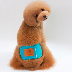 Manufacturer wholesale reusable absorbed waterproof pet dog diaper