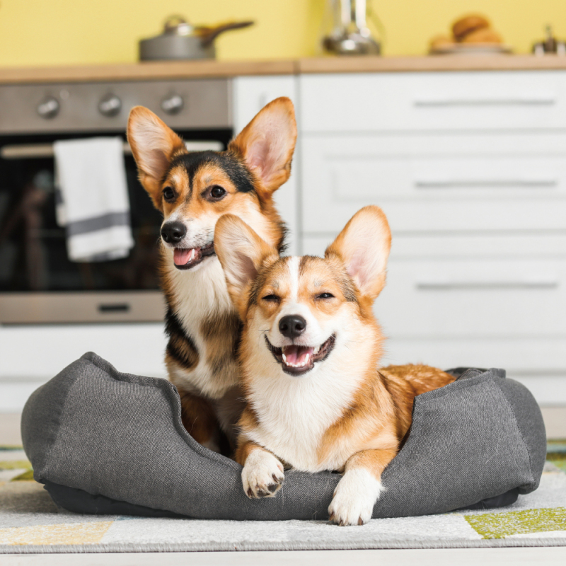 Manufacturer Wholesale Custom Logo Warm Pet Product Dog Bed Luxury