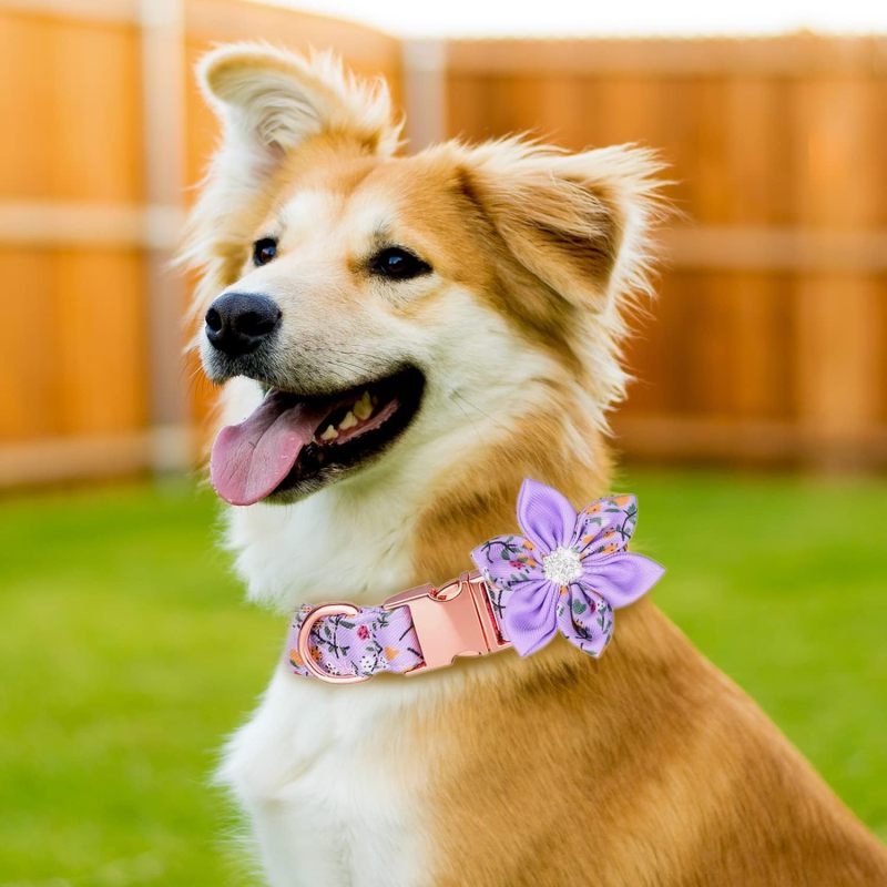 Wholesale Custom logo Adjustable Flower Design Dog Collar Bow Leash