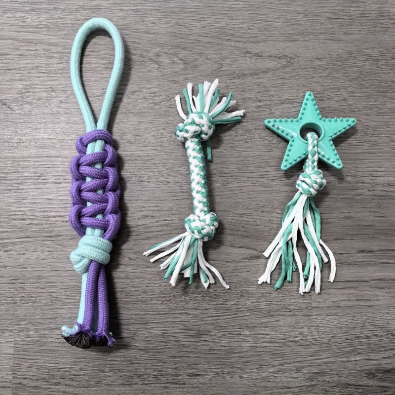 Wholesale Cute Design Chew Cotton Pet Dog Rope Toys Set