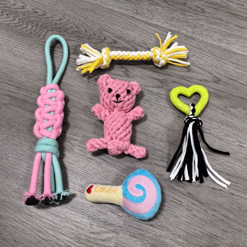Wholesale Cute Design Chew Cotton Pet Dog Rope Toys Set