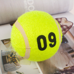 Manufacturer wholesale chew paw print dog rubber tennis ball