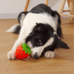Manufacturer wholesale strawberry chew dog tpr feeder toy