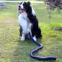 Wholesale Eight-strand Nylon Durable Large Dog Collar and Leash Set