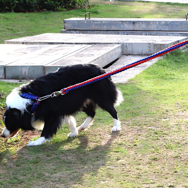 Wholesale Eight-strand Nylon Durable Large Dog Collar and Leash Set