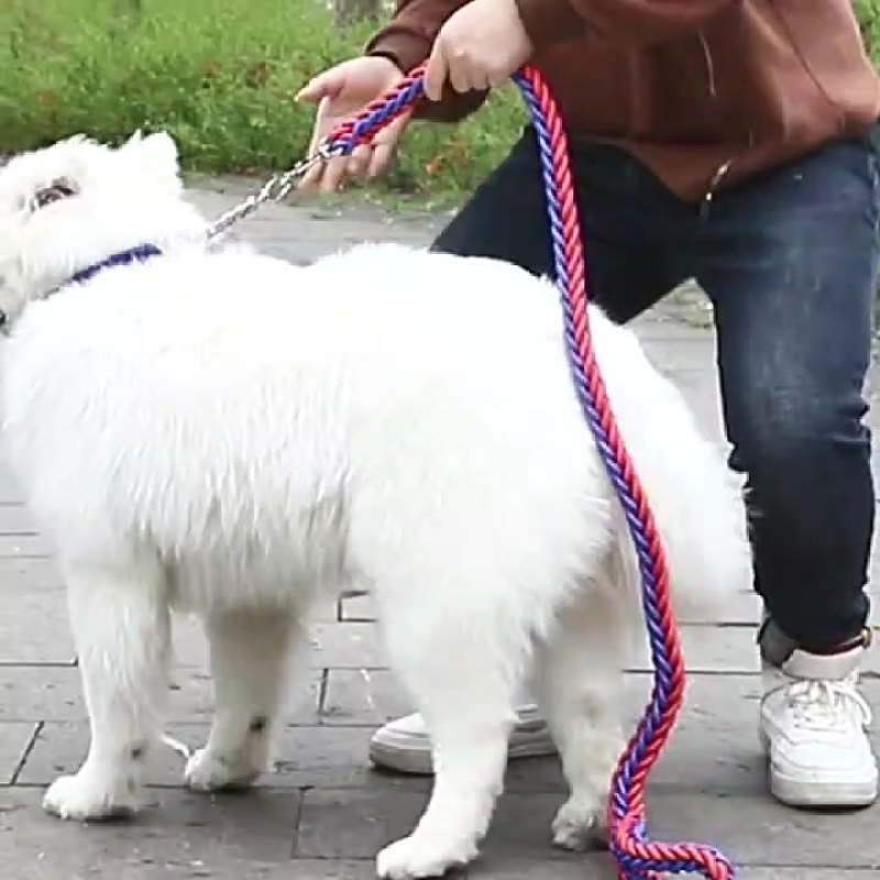 Wholesale Eight-strand Nylon Durable Large Dog Collar and Leash Set