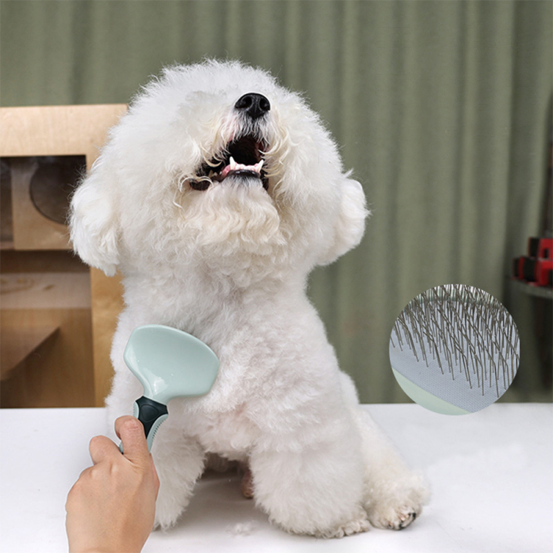 Wholesale Comb Brush Nail Clippers Collapsible Bowl Ttoothbrush Cat Dog Pet Grooming Tools