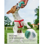 Manufacturer wholesale silicone food feeder dog puzzle toys