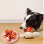 Manufacturer wholesale beef fragrance TPU nylon chew dog simulation bone toy