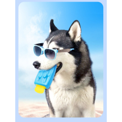 Manufacturer wholesale summer chewing dog cooling toys