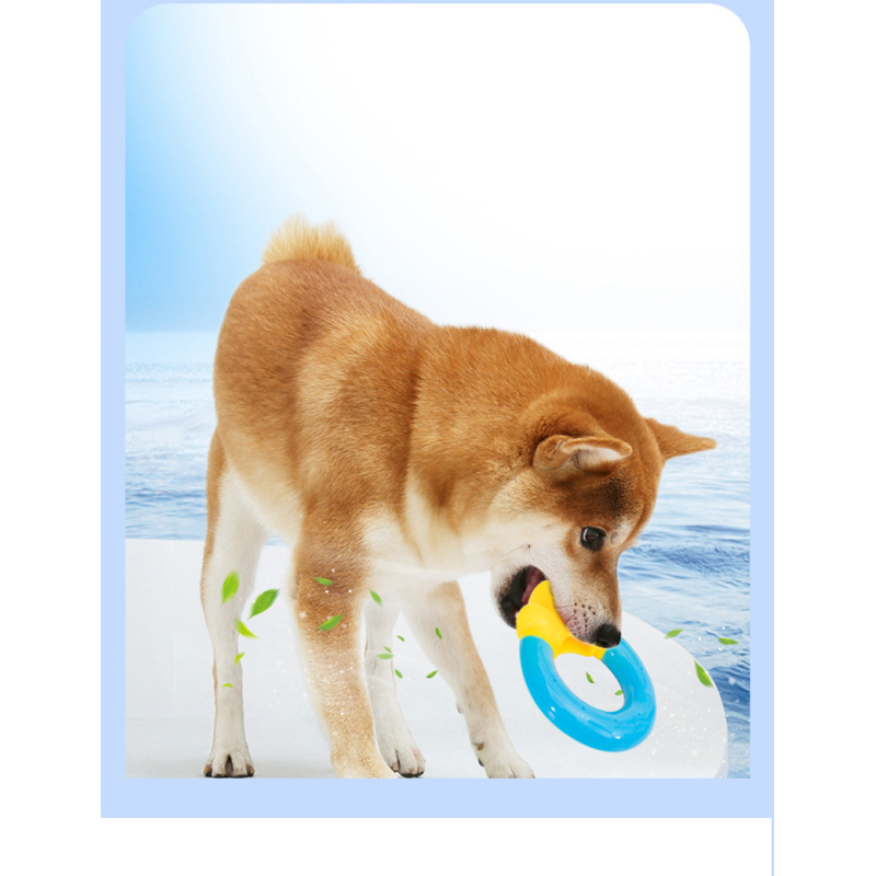 Manufacturer wholesale summer chewing dog cooling toys