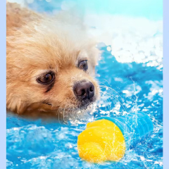 Manufacturer wholesale summer chewing dog cooling toys