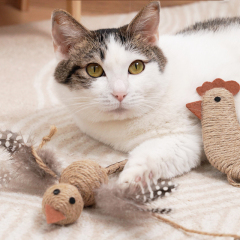 Manufacturer wholesale silvervine cat rope toys