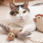 Manufacturer wholesale silvervine cat rope toys