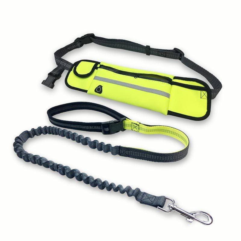 Manufacturer wholesale adjustable running used dog leash with pocket set