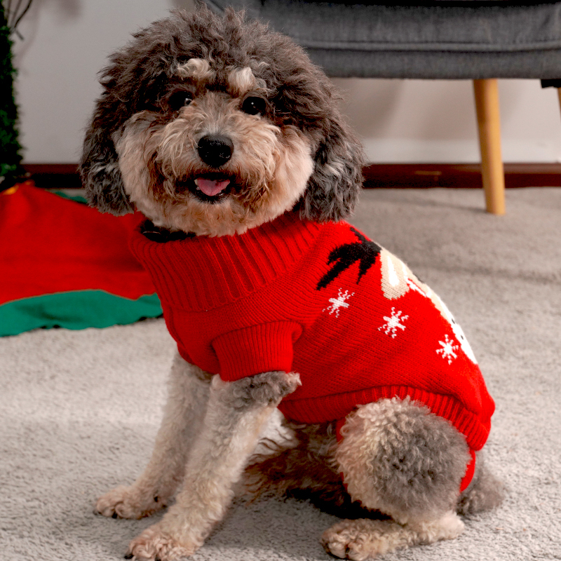 Manufacturer wholesale red dog christmas sweater clothes