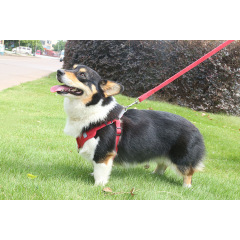 Manufacturer wholesale reflective suede fabric cheap dog harness with leash set