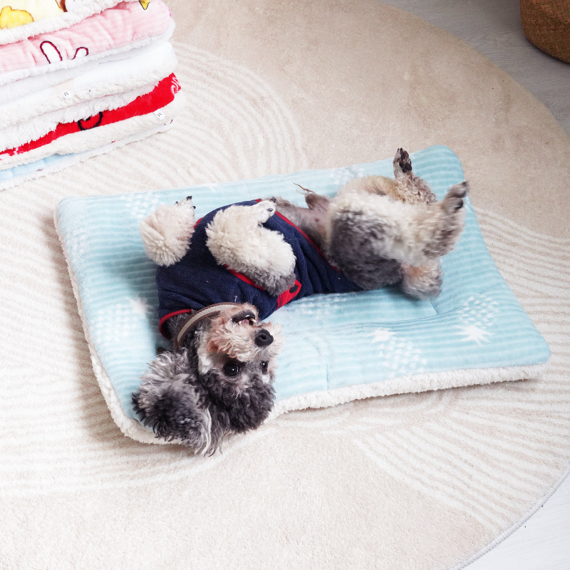Manufacturer Wholesale Cute Design Flannel Cat Pet Dog Mat