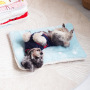 Manufacturer Wholesale Cute Design Flannel Cat Pet Dog Mat