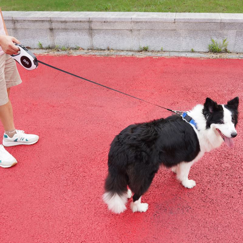 Manufacturer wholesale custom logo reflective dog retractable leash with LED light chargeable