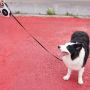 Manufacturer wholesale custom logo reflective dog retractable leash with LED light chargeable