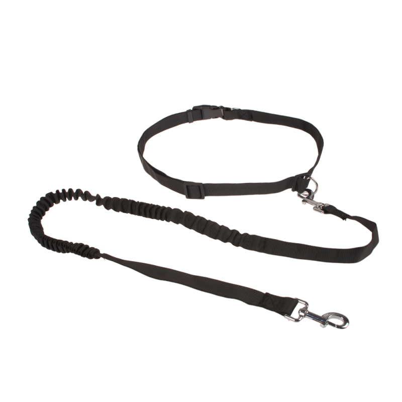 wholesale manufacturer nylon custom designer running pet dog bungee leash