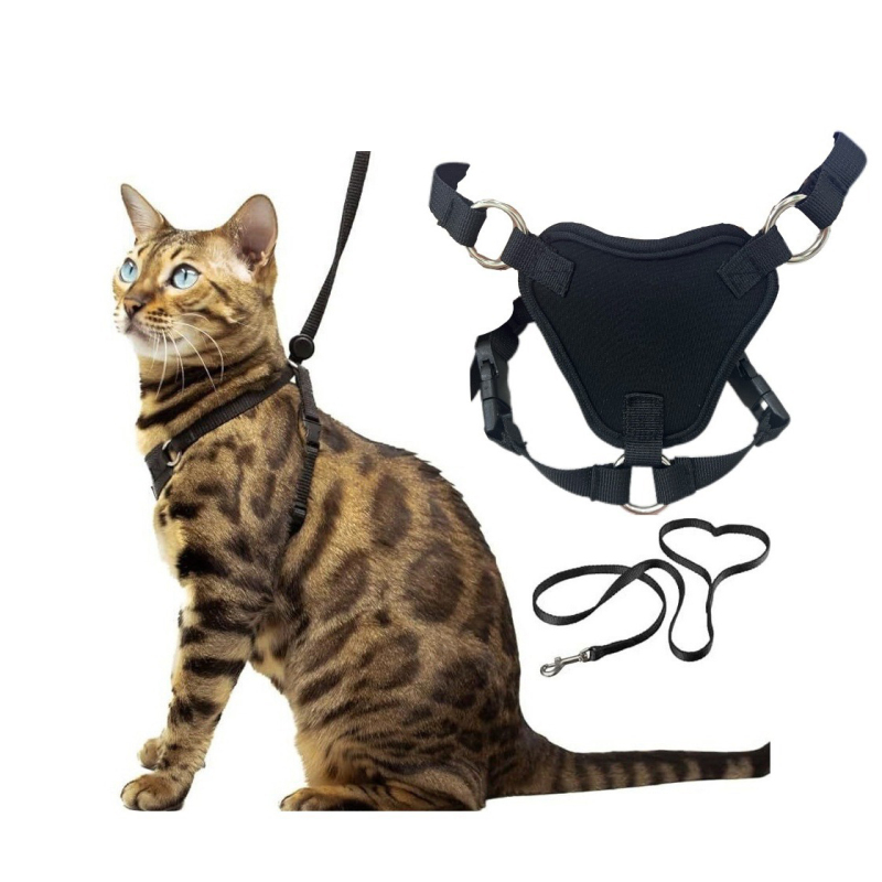 Manufacturer wholesale custom logo cat harness with leash set