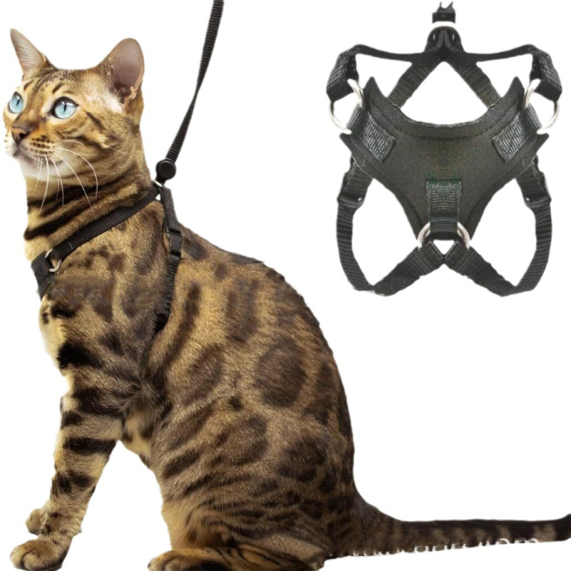 Manufacturer wholesale custom logo cat harness with leash set