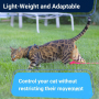 Manufacturer wholesale custom logo cat harness with leash set